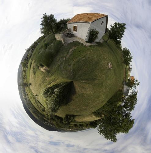 Rezeda pince
